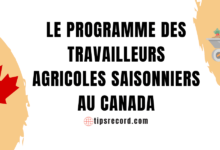 Le programme des travailleurs agricoles saisonniers au Canada