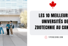 les universités de zootechnie au Canada