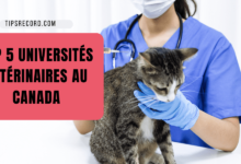 universités vétérinaires au Canada